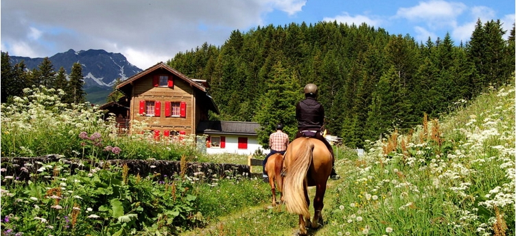 Reitstunden Graubünden